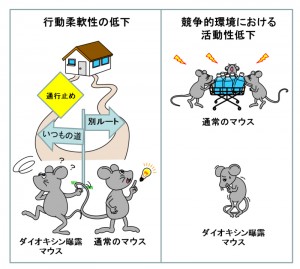 © Masaki Kakeyama