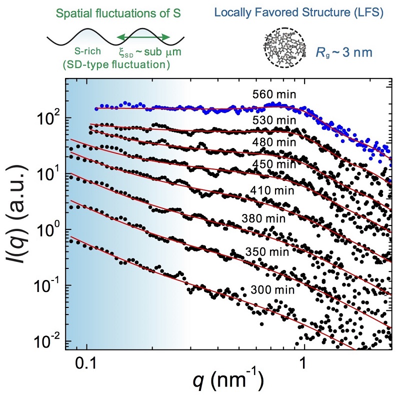 Structural origin of the liquid-liquid transition. © 2015 Ken-ichiro Murata, Hajime Tanaka