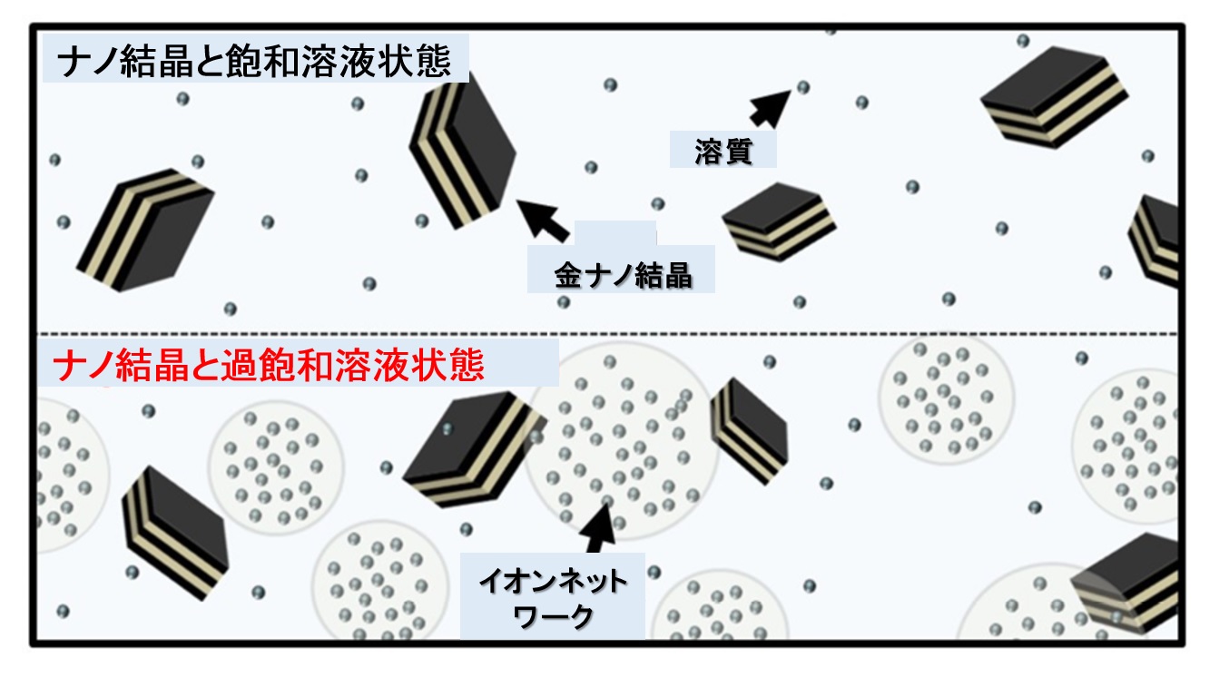 過飽和1分子観察のイメージ図 © 2015 Yuji Sasaki.イオンネットワークを計測するために適応したX線1分子追跡法の通常溶液状態と過飽和溶液状態のモデル図。