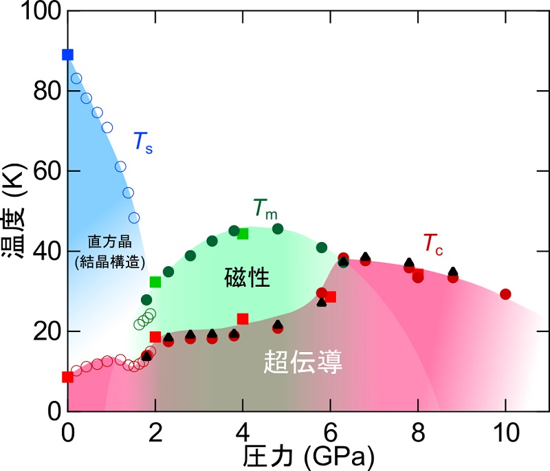 鉄系超伝導体セレン化鉄の圧力を変化させた場合に観察される状態 © 2016 松浦康平ドーム状(緑)に見られる磁性相の消失した先に高い温度で超伝導状態(赤)が実現していることがわかる。