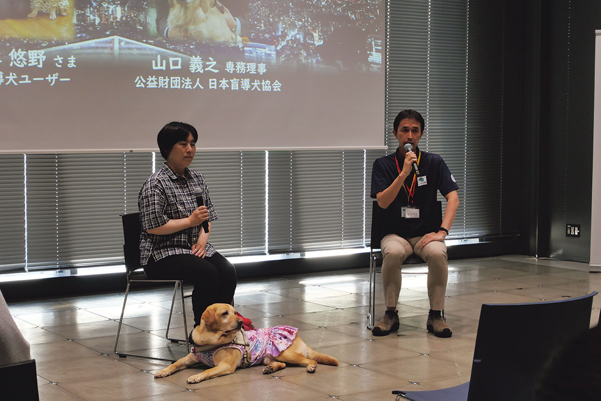 Symposium: “What is low vision, normal vision and no vision?”