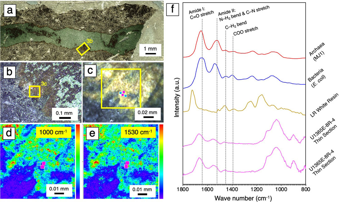 Microscope images of rock samples and a bar chart showing signals from them.