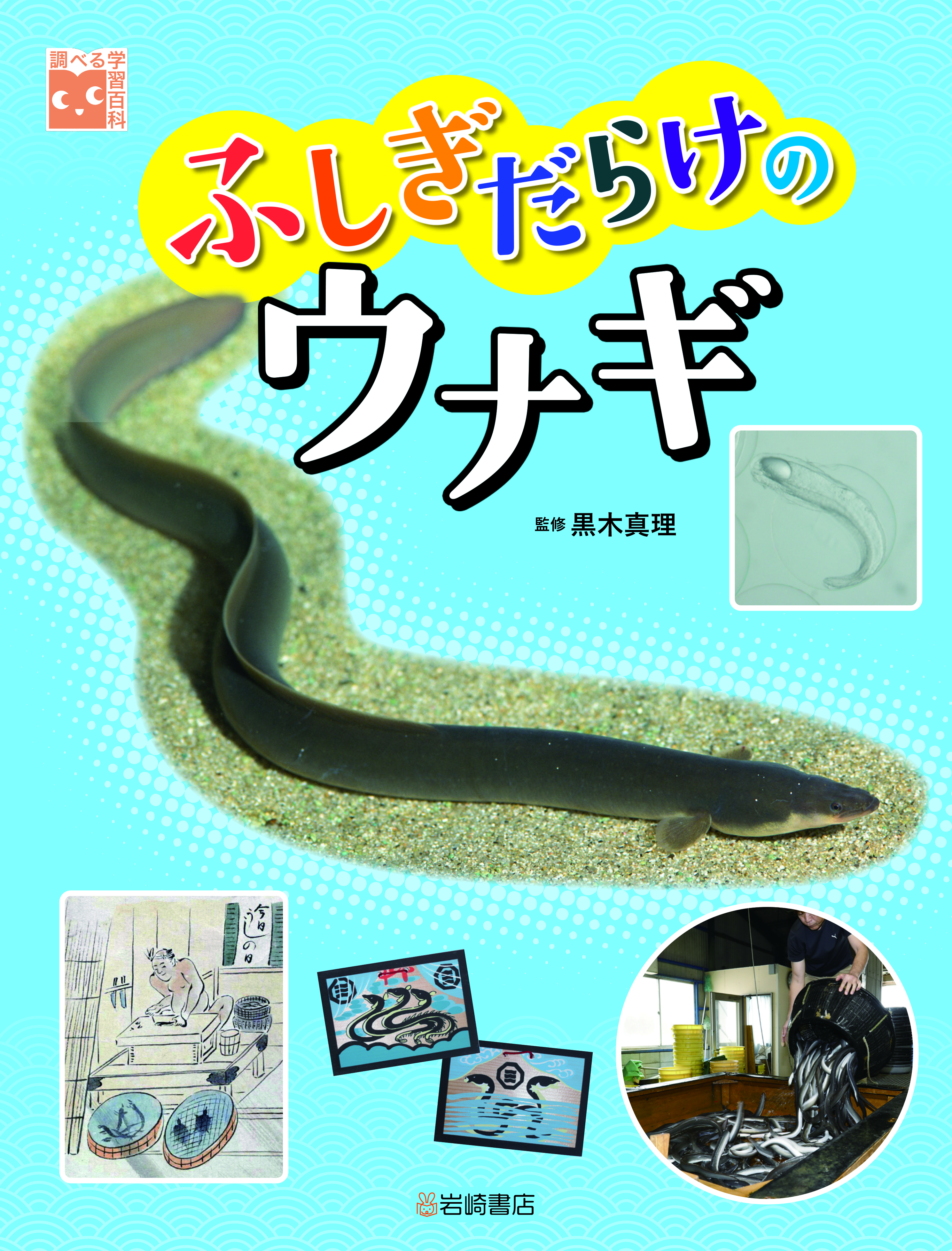 青い表紙、うなぎの写真