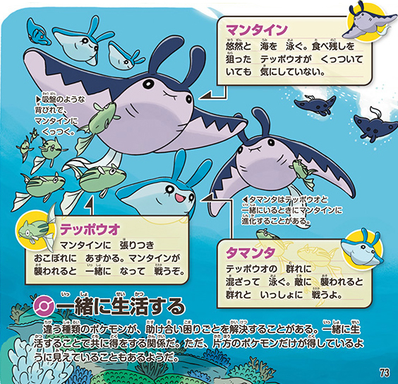 「ポケモン生態図鑑」から第3章の「共に生きる、頼って生きる」p.73より、マンタインとタマンタとテッポウオのイラスト