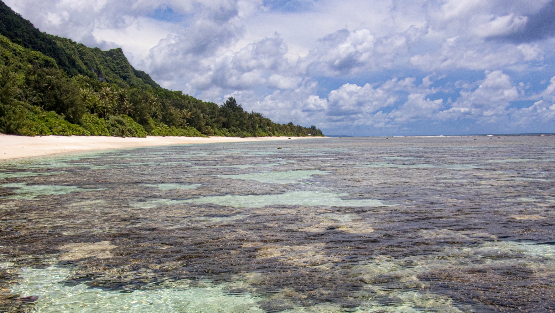 An ocean bay with coastal coral spread far and wide